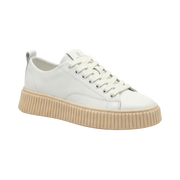 White/Beige